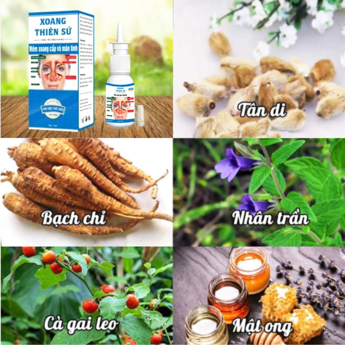[HCM]Thảo Dược Viêm Xoang Thiên Sứ