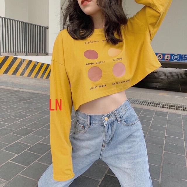 Áo croptop Color dài tay LNG1119