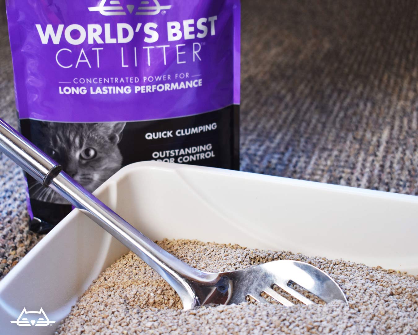 World's best Cát vệ sinh Mèo sản xuất tại Mỹ
