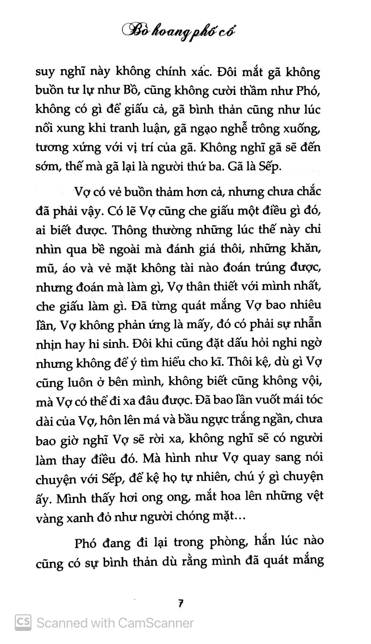 Sách - Bò Hoang Phố Cổ