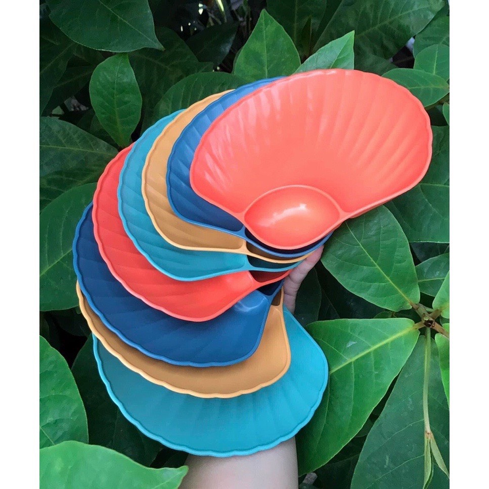 Dĩa hình vỏ sò có ngăn gia vị