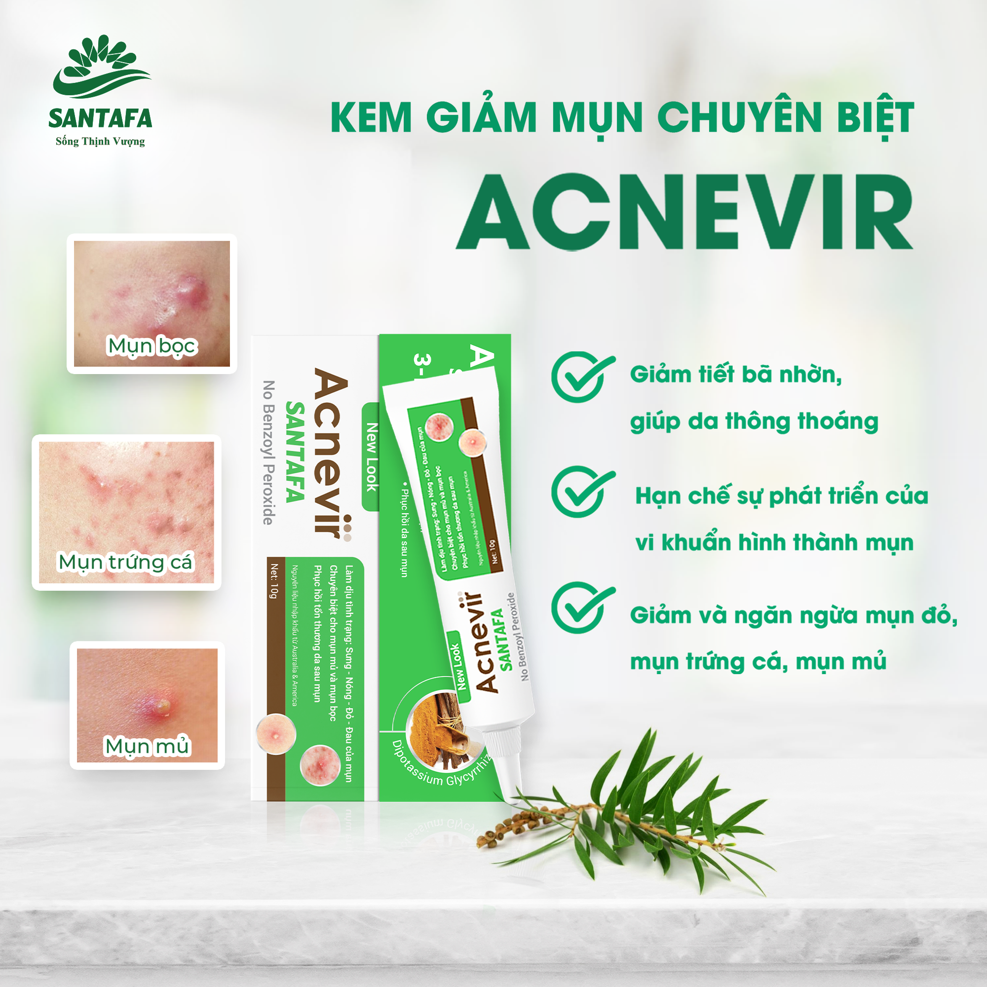 Combo Giảm Mụn Bọc, Mụn Mủ, Mụn Trứng Cá Acnevir Santafa (Sữa Rửa Mặt 100gr Và Tuýp Kem Ngừa Mụn 10gr)
