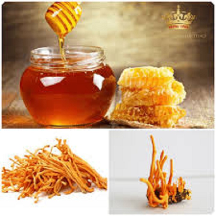 ĐÔNG TRÙNG HẠ THẢO SẤY KHÔ CAO CẤP 100g