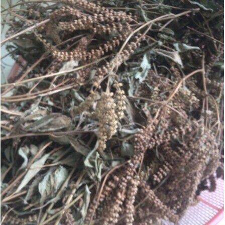 500 gr cây hương nhu khô(xanh thơm sạch)