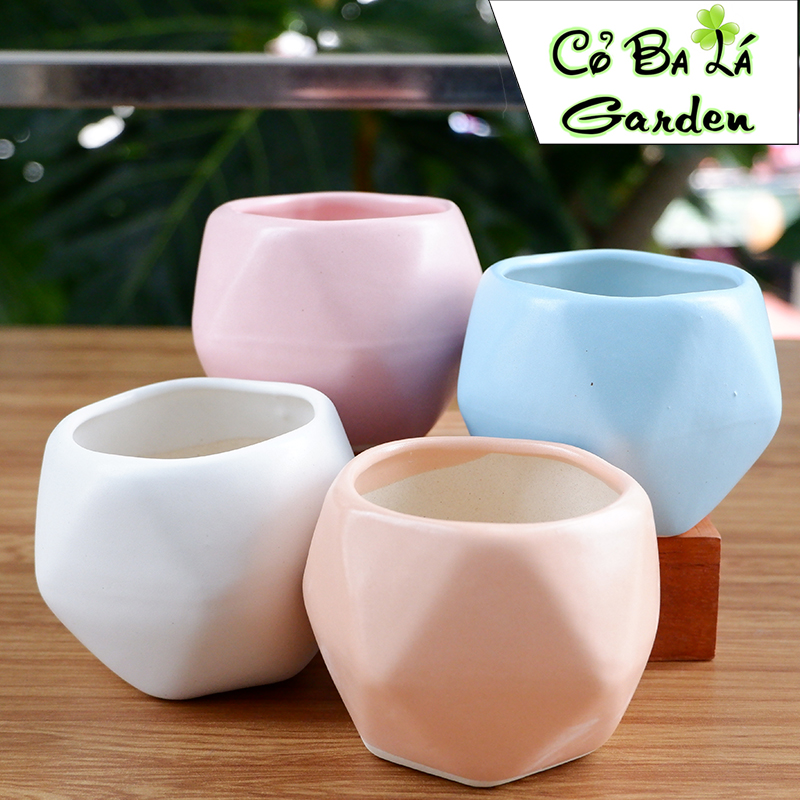 chậu sứ bát tràng hình Quả Trám