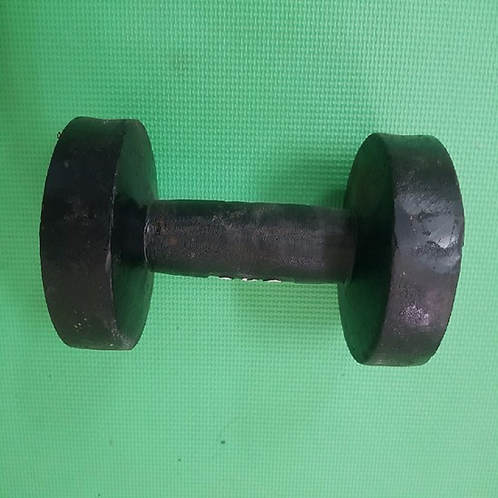 Tạ tay đúc 7kg