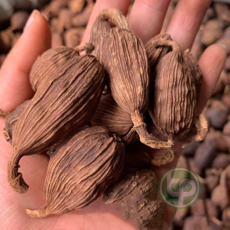 [Hàng loại 1 túi 1kg] Thảo Quả Sấy Khô - Thảo Dược Tấn Phát - Hỗ trợ kích thích khả năng hoạt động của hệ tiêu hoá