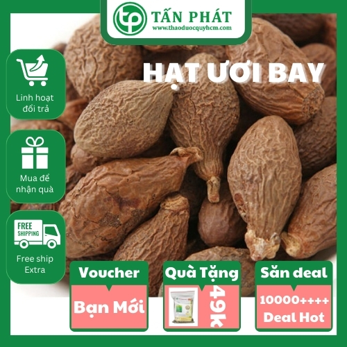 Hạt ươi khô túi lớn loại 1kg, Hạt đười ươi - Hàng công ty chất lượng cao - chuyên dùng để nấu các món ăn thơm ngon và bổ dưỡng