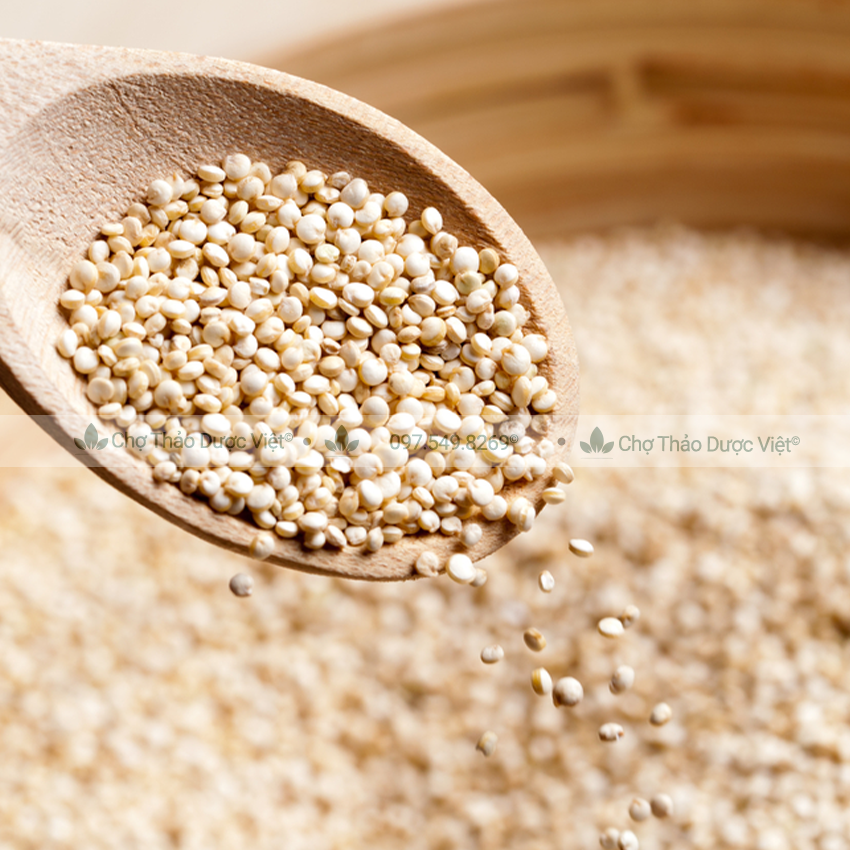 Hạt diêm mạch hữu cơ 500g (Quinoa trắng dành cho người ăn kiêng, làm sữa hạt dinh dưỡng) - Chợ Thảo Dược Việt