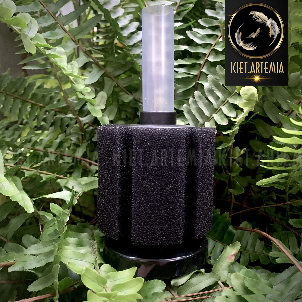 Lọc vi sinh hồ cá Bio xy180