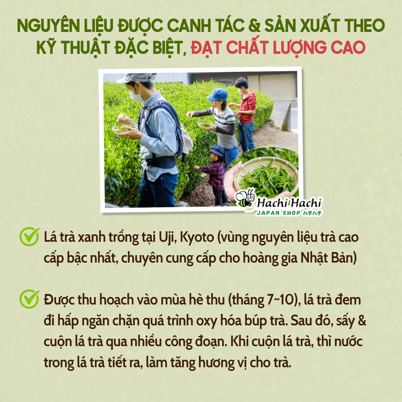(Lá) Trà xanh Bancha Yanoen 120g - Hachi Hachi Japan Shop