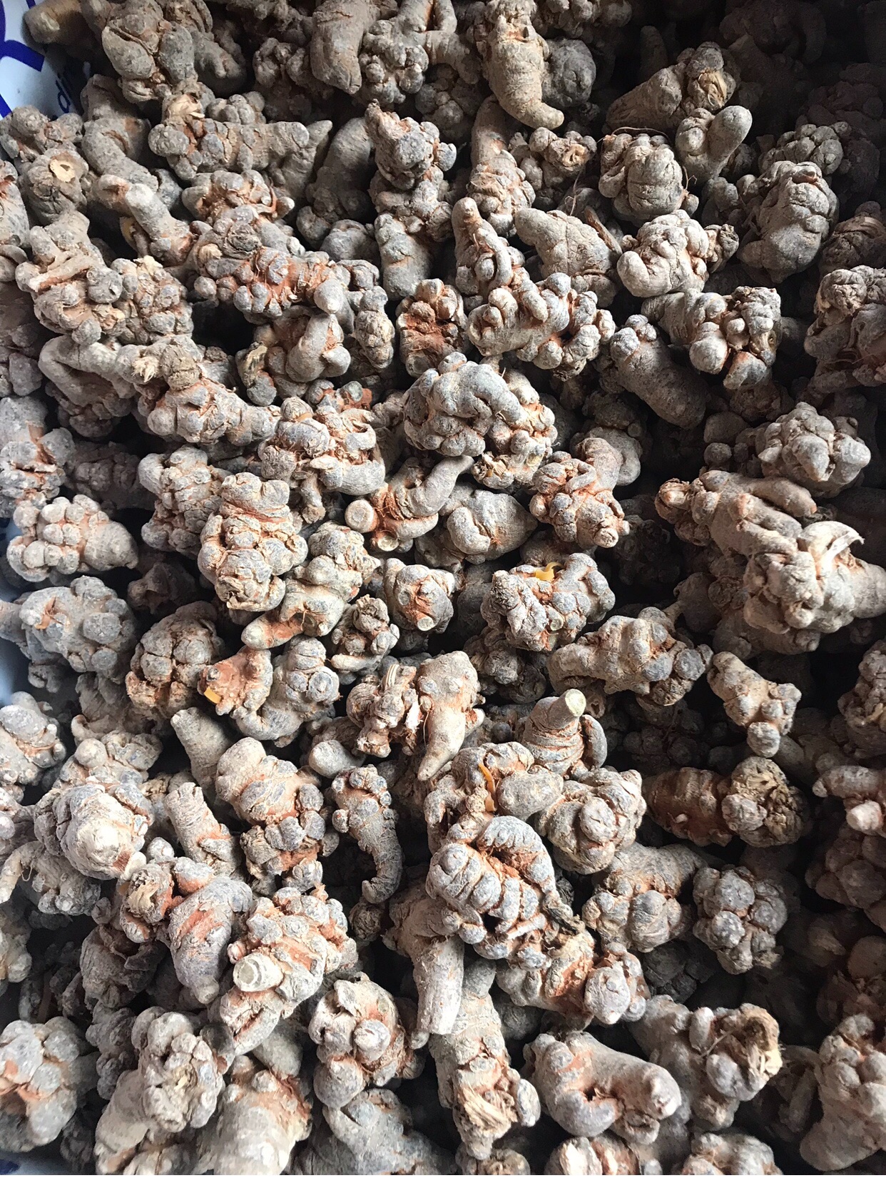 Tam thất bắc khô 1kg (loại 9 củ)