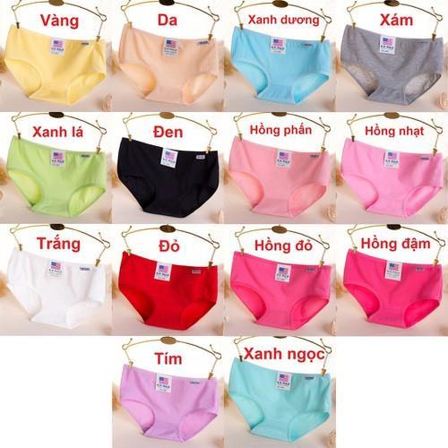 Combo 10 Quần Lót Nữ Cotton Pulo - Chất Mát 75a85