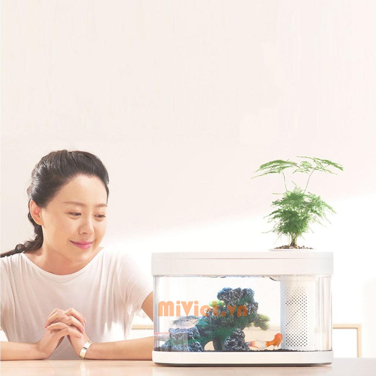 Bể cá thủy sinh mini Xiaomi