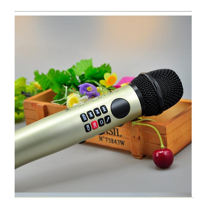 Mic karaoke blutooth L-598