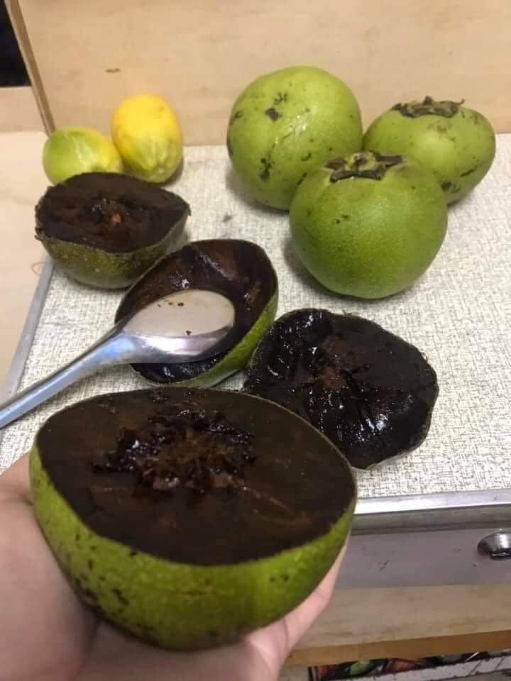 Hạt giống cây hồng socola - gói 3 hạt