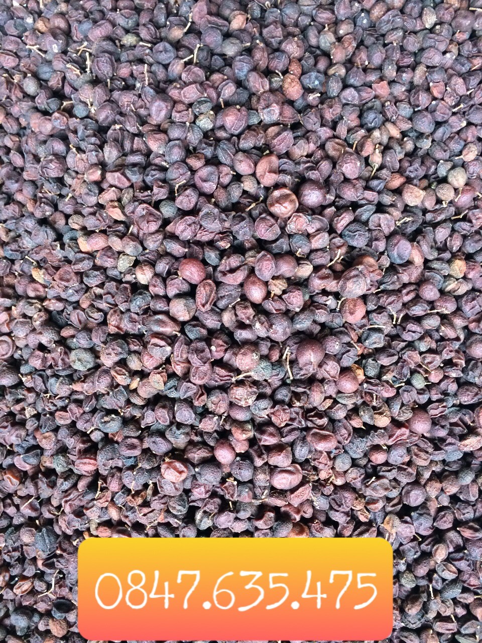 Quả mắc mật 1000g