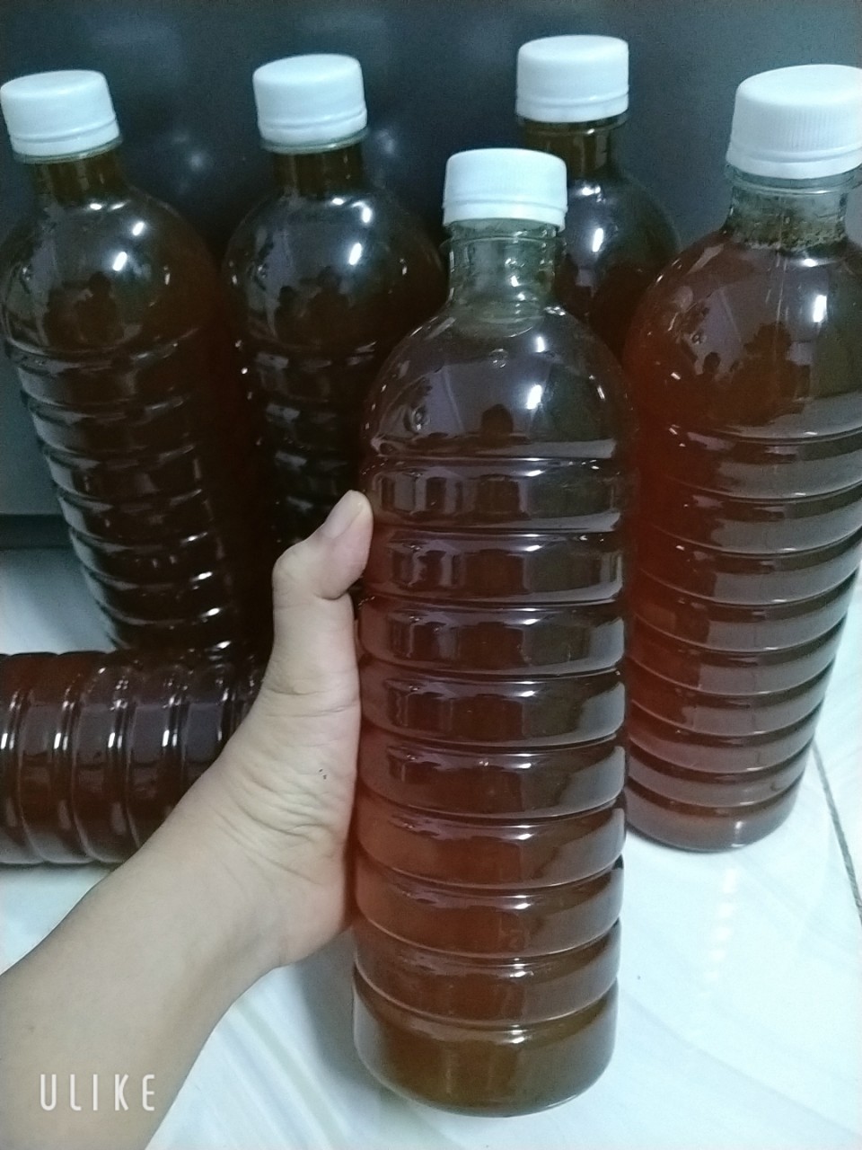 1000ML MẬT ONG HOA CÀ PHÊ ĐAKLAK( DÙNG THỬ)[ GIAO HÀNG NHANH 4h HCM]