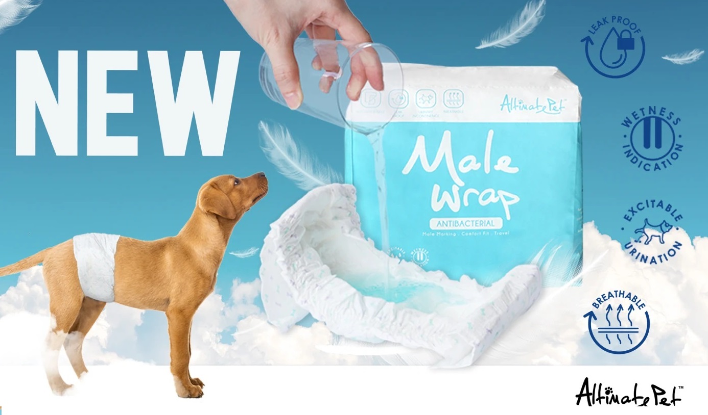 Tã quần chó đực Male Wrap Diaper size Medium