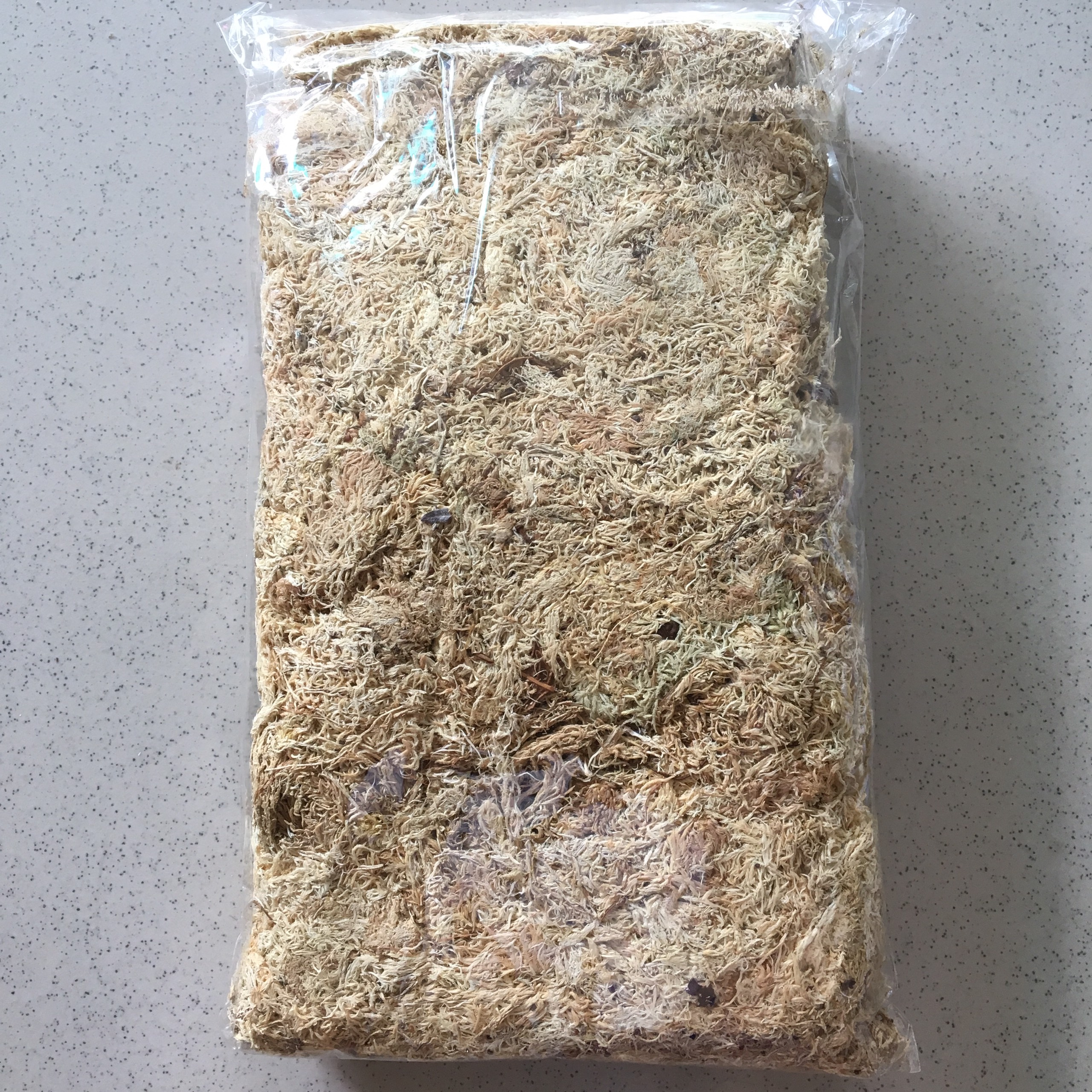 DỚN CHILE GÓI 100GR - RÊU TRẮNG