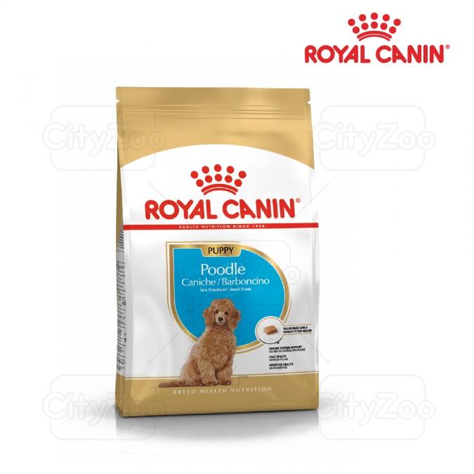 [giao2h pettohouse gò vấp] thức ăn cho chó con Royal Canin poodle puppy 1,5kg hạt khô sản xuất tại pháp cho chó poodle dưới 10 tháng tuổi