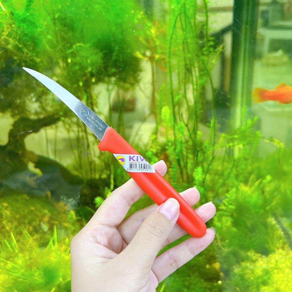 Dao khắc rau củ - tỉa hoa quả