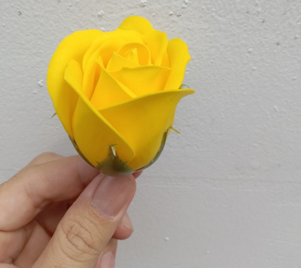 hoa hồng sáp - đầu bông 3 lớp