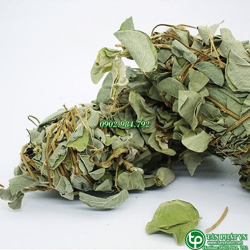[Túi lớn loại 1kg] Kim tiền thảo dược Tấn Phát - chuyên dùng để pha trà thanh nhiệt và giải độc