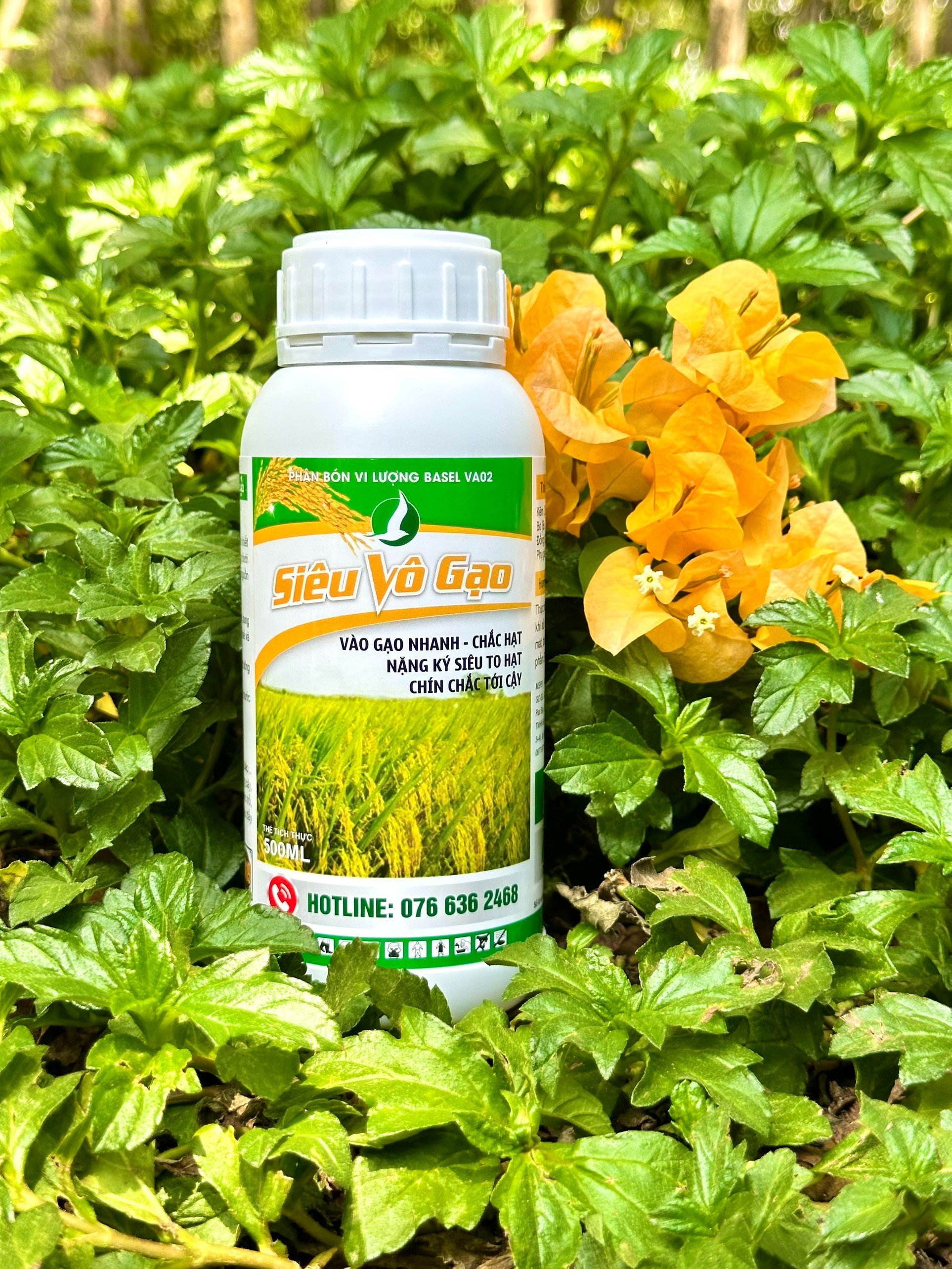 VÔ GẠO NHANH - PHÂN BÓN CHUYÊN LÚA (CHAI 500ML)