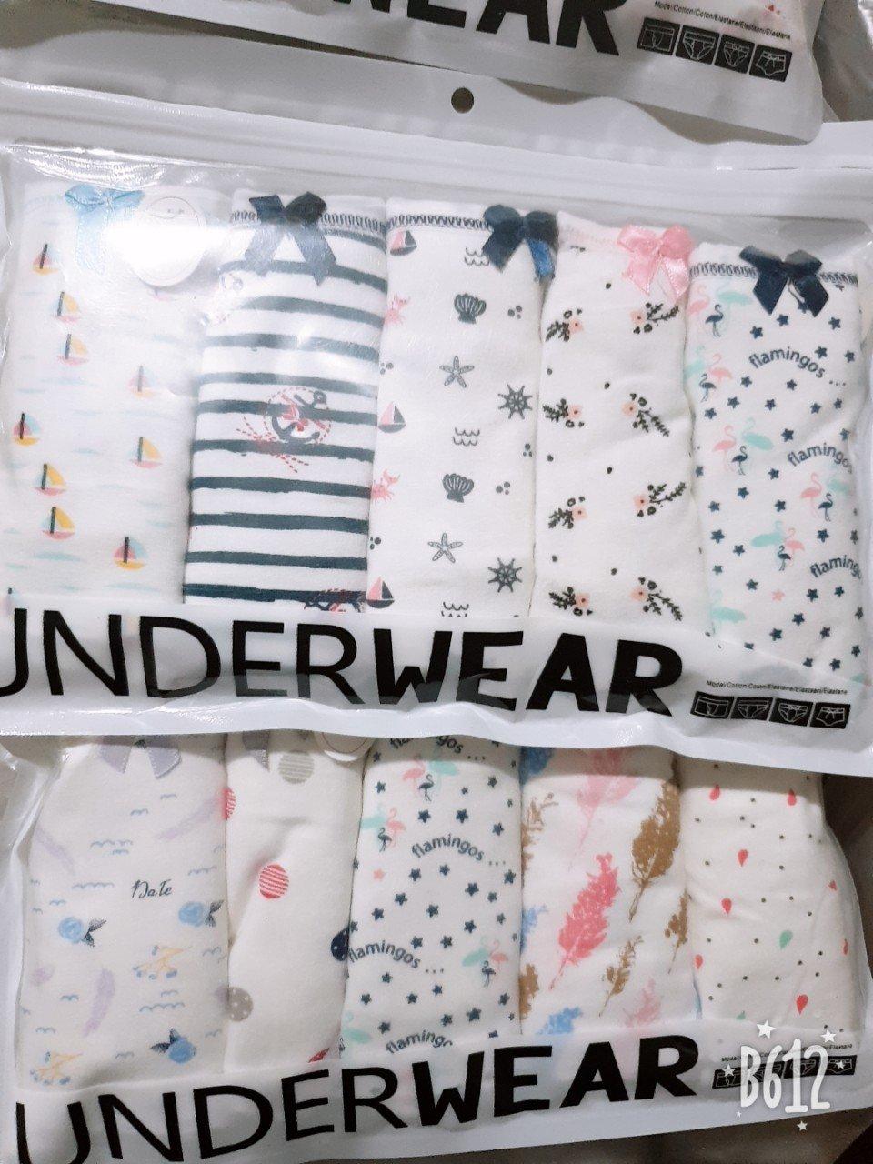 Combo 5 quần cotton siêu cute