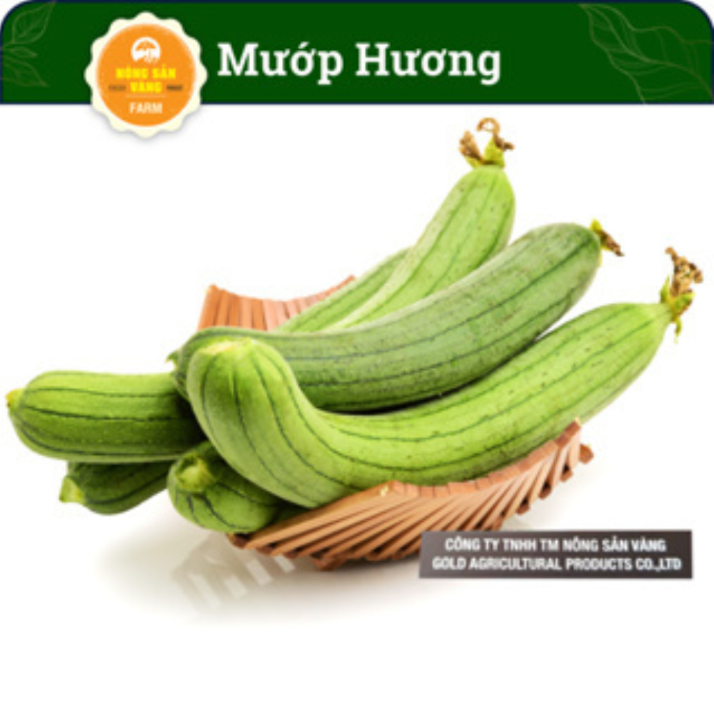 Sponge gourd seeds-sweet and high capacity (pack of 10 seeds)-shallow yellow