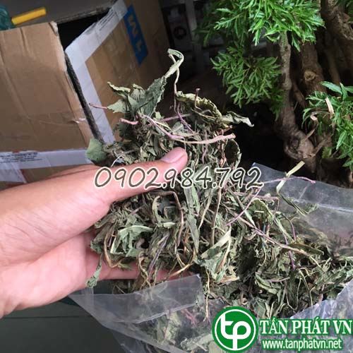 Lá bồ công anh khô 500g