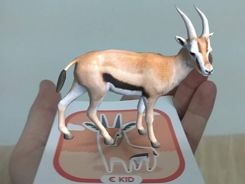 BỘ 46 THẺ HỌC ANIMAL 4D CHO BÉ