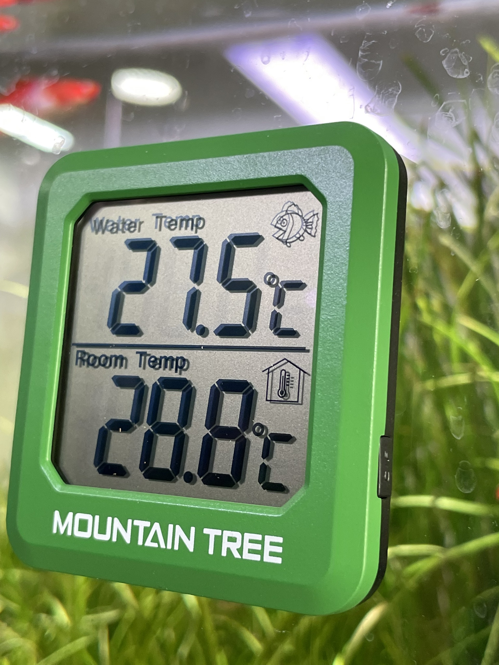 NHIỆT KẾ ĐIỆN TỬ MOUNTAIN TREE