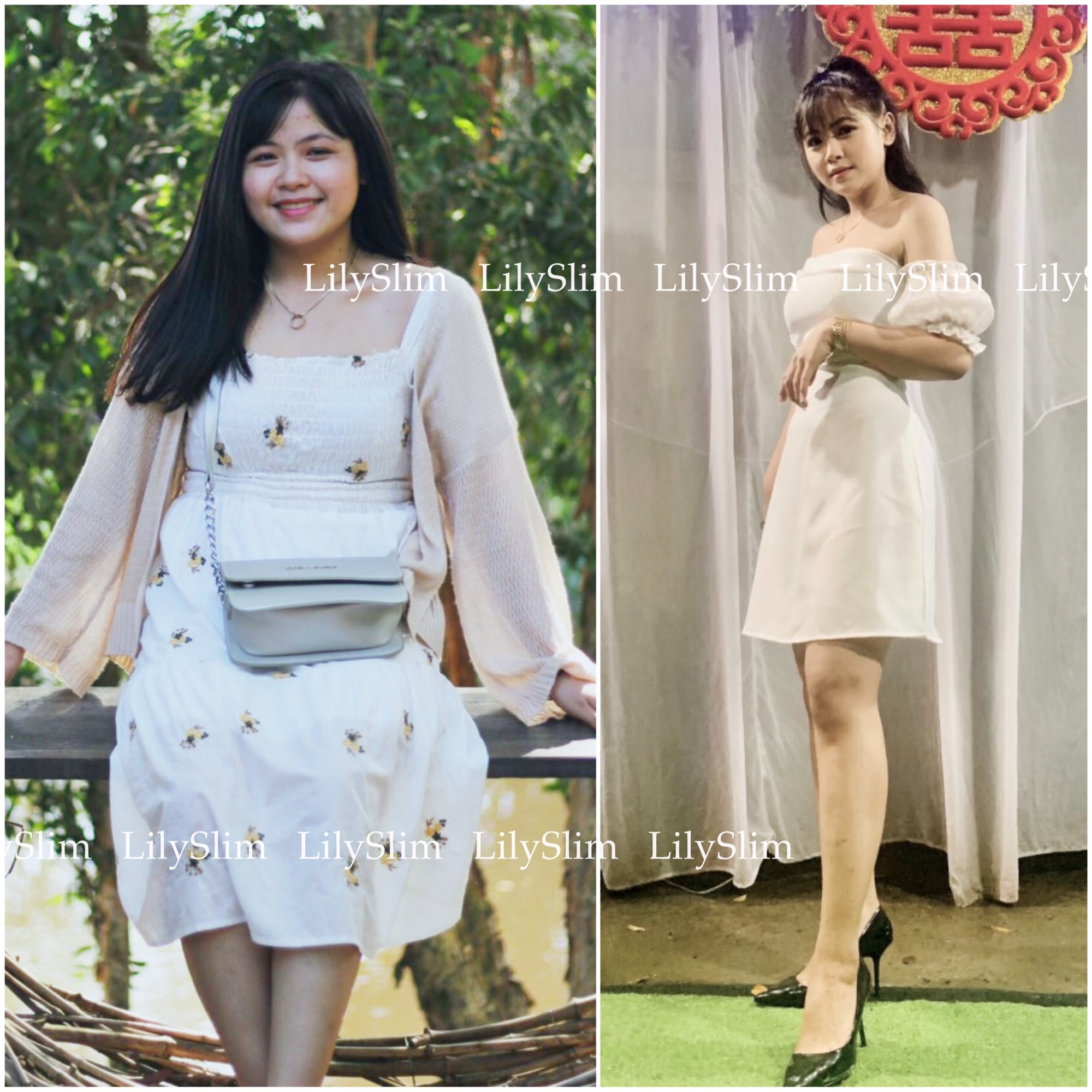 Thảo mộc giảm cân Lily Slim