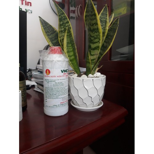 Hương nước mắm Nam Ngư vmc