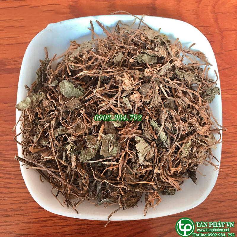 Rau má sấy khô 1kg - Thảo Dược Tấn Phát