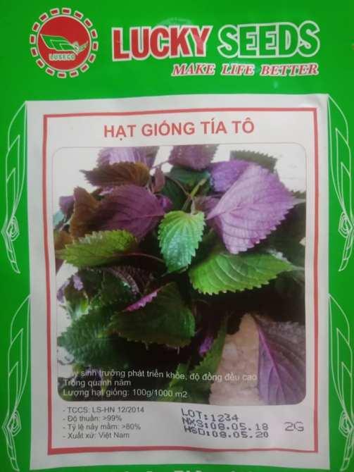 Hạt giống rau Tía Tô