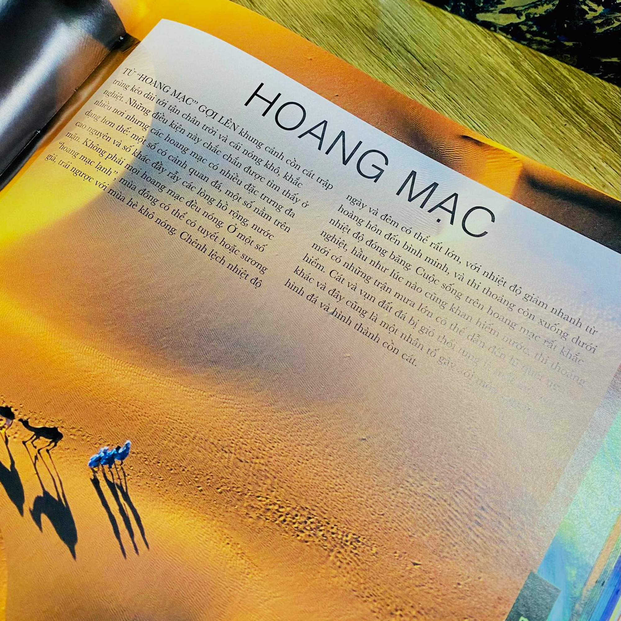 Sách - Thuyết Minh Trực Quan Nhất Về Trái Đất (DK - Bìa Cứng)