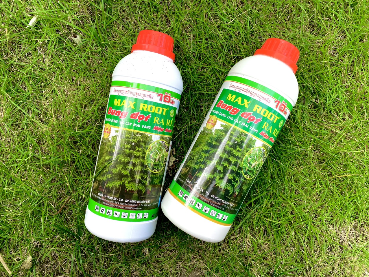 MAX ROOT BUNG ĐỌT RA RỄ MAI VÀNG CHAI 500ML
