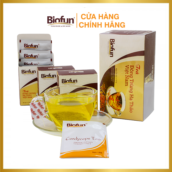 Trà Đông Trùng Hạ Thảo Việt Nam BIOFUN