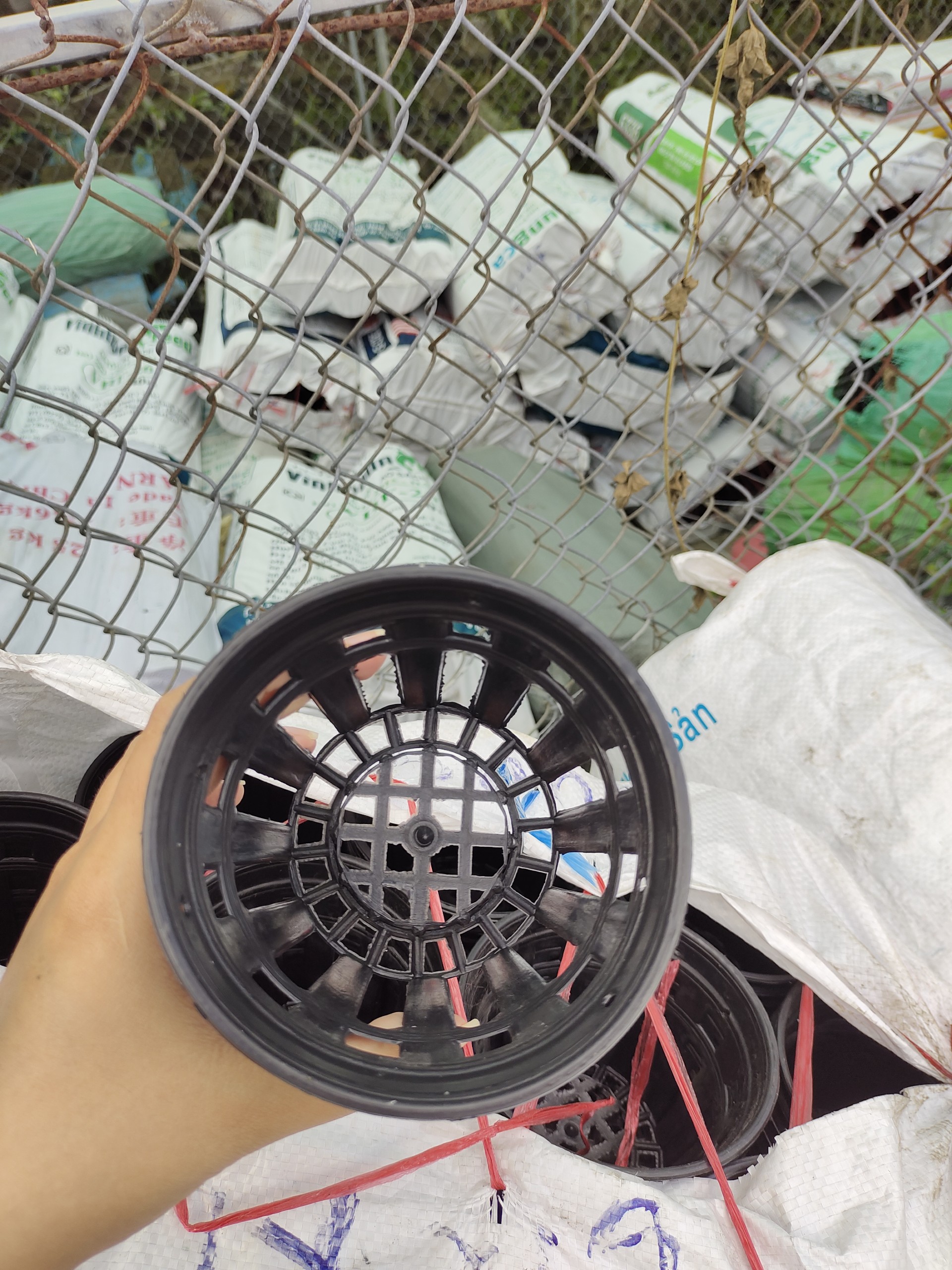 Combo 10 chậu nhựa trồng lan Phi 12cm