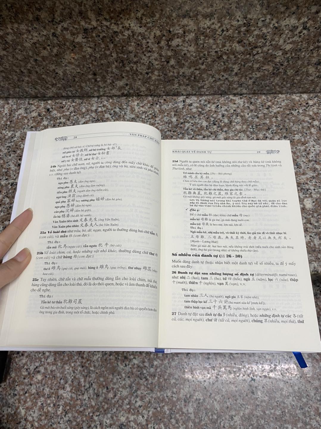 Sách Văn Pháp Chữ Hán - Phạm Tất Đắc (Bìa cứng)