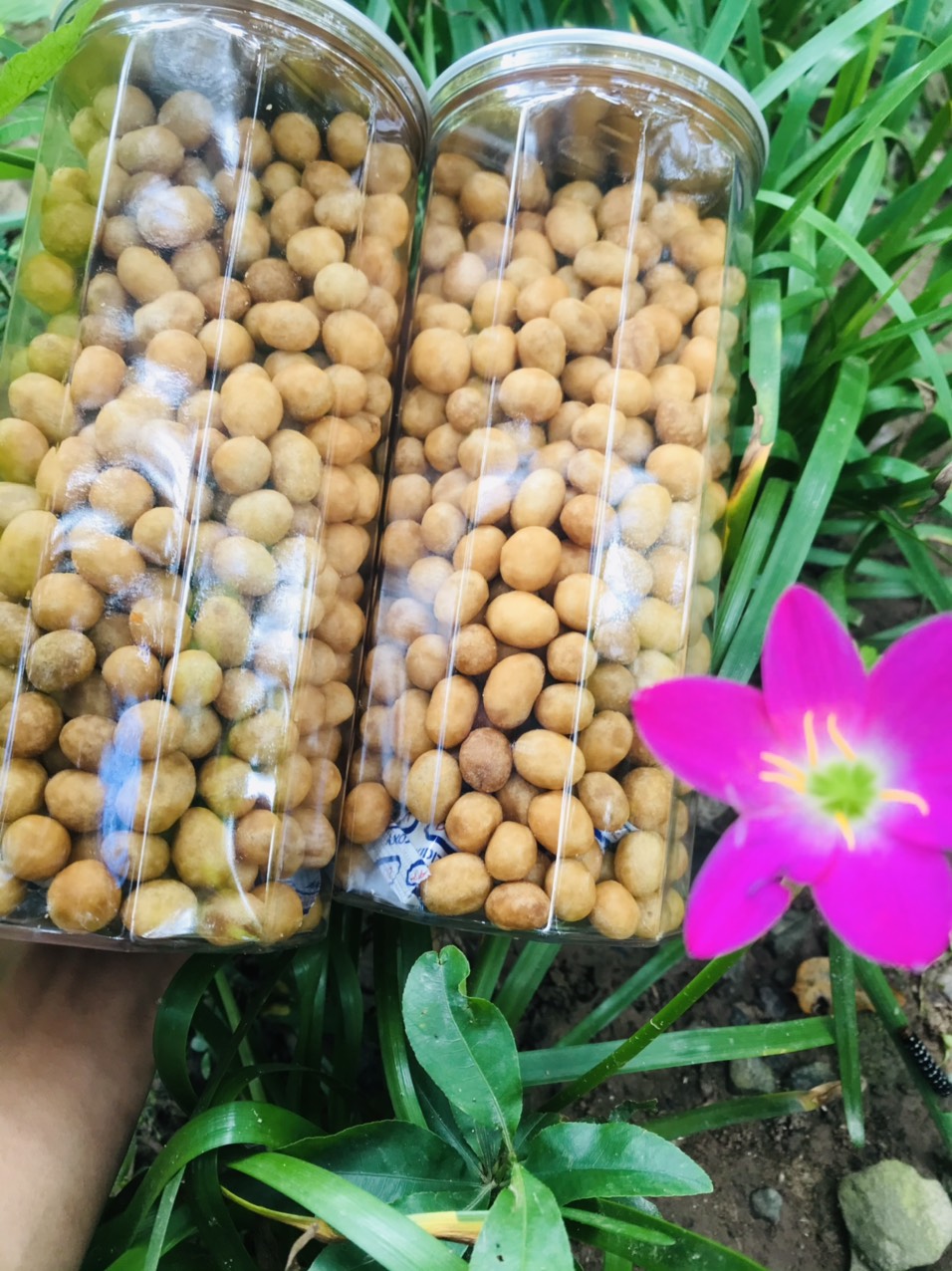 Đậu Phộng da Cá Nước cốt dừa 400gr
