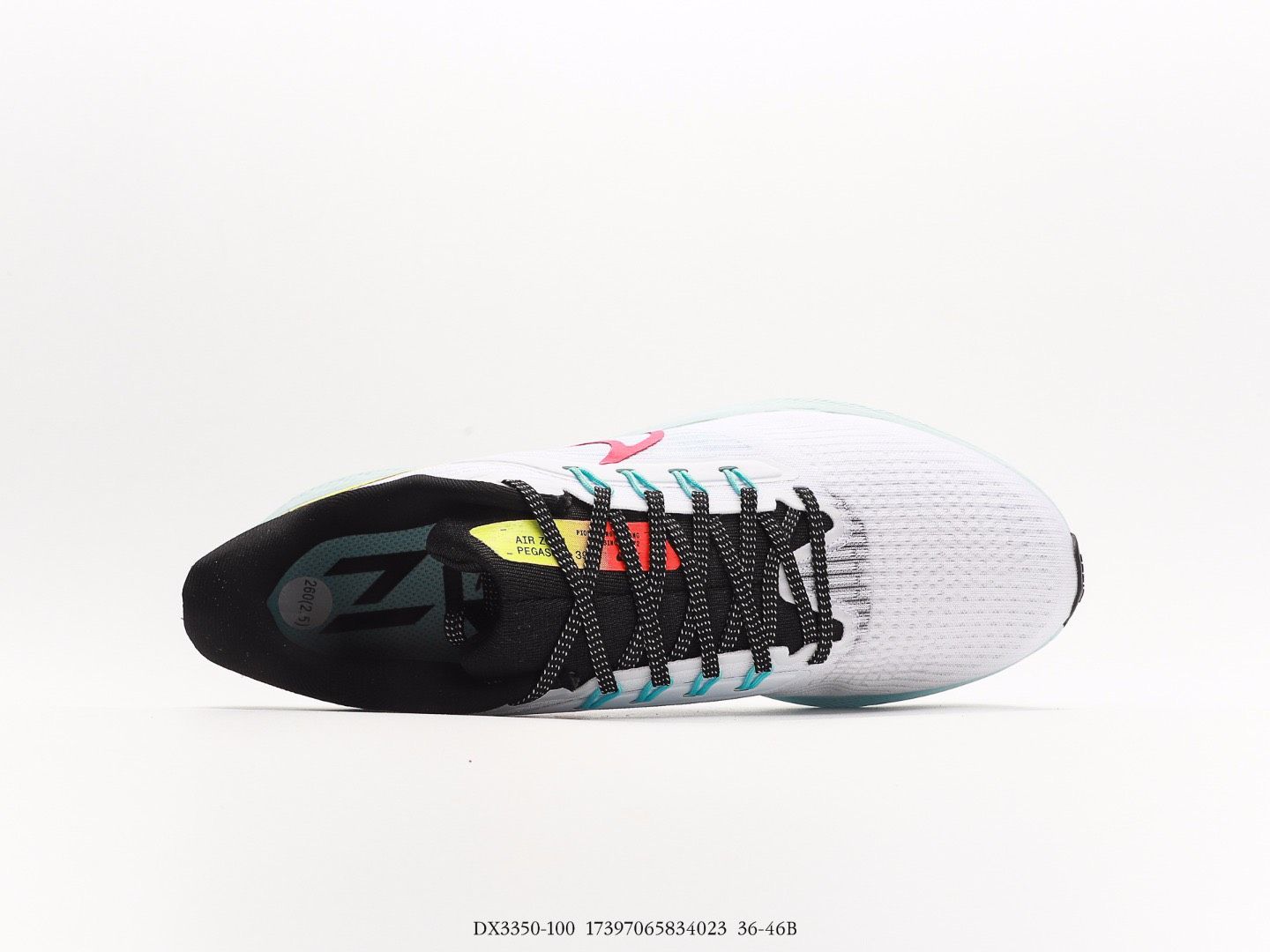 NIKE AIR ZOOM PEGASUS 39 DX3350 - 100