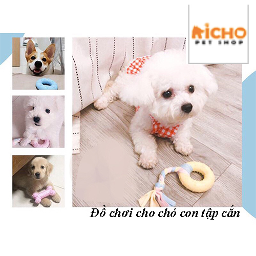 Đồ chơi cho chó mèo gặm / Đồ chơi gặm cho chó mèo