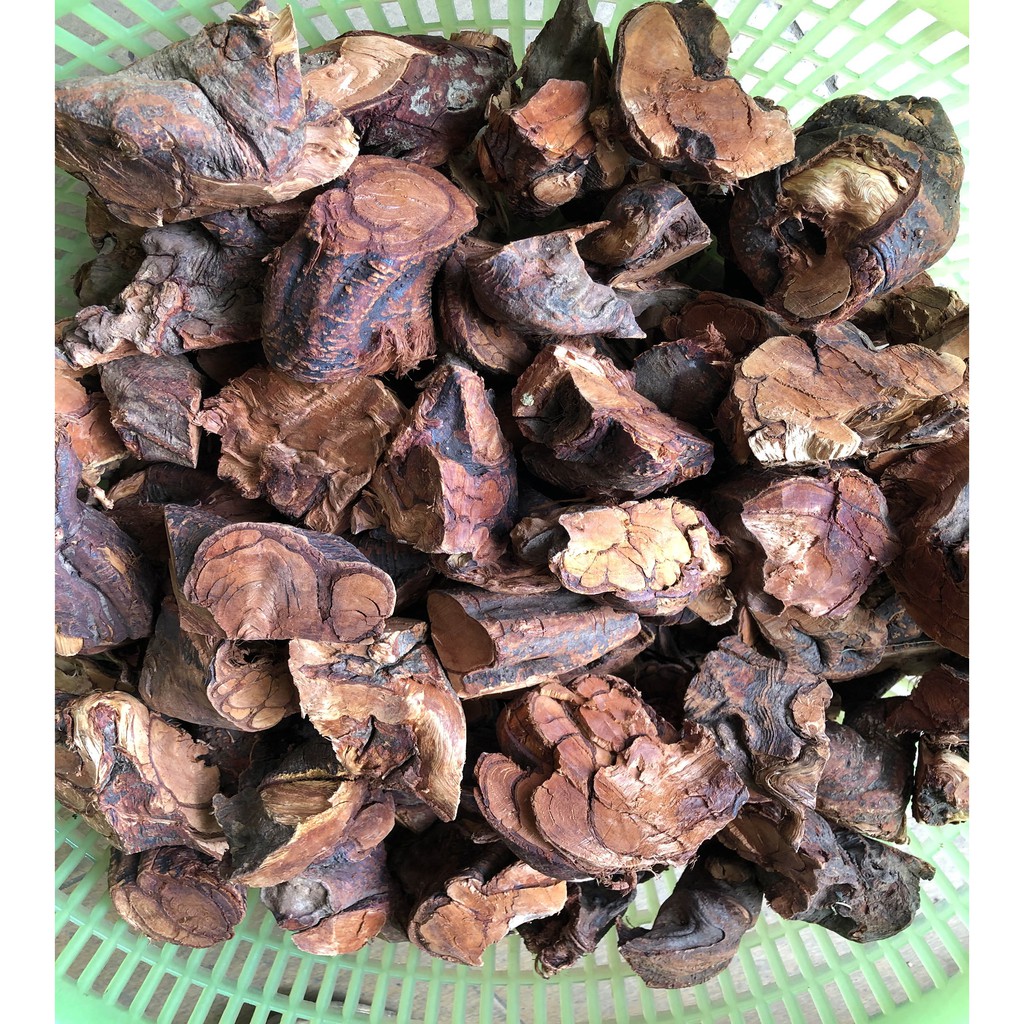 Rễ kiếu nhiêu lỵ - hỗ trợ điều trị yếu sinh lý 1kg