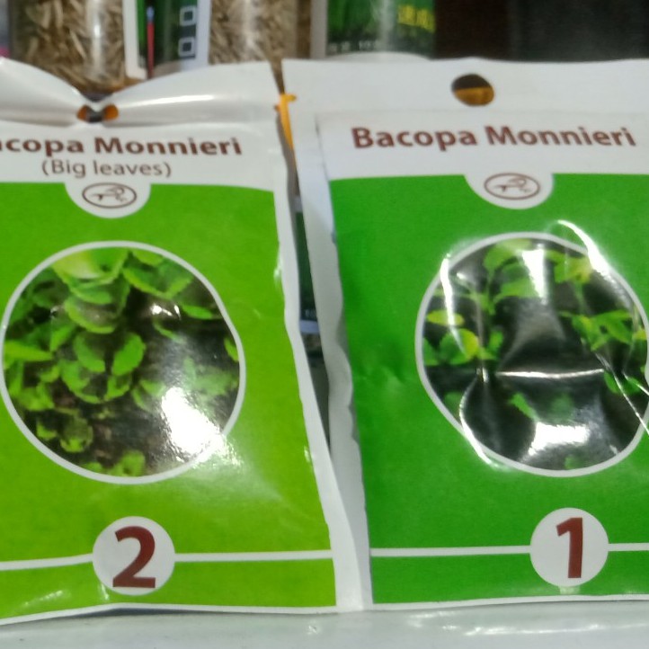 Hạt giống cây thủy sinh bể cá cảnh (combo 3 gói 10gr)