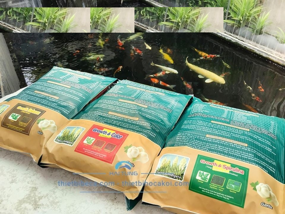 Thức ăn trộn sẵn cho cá Koi