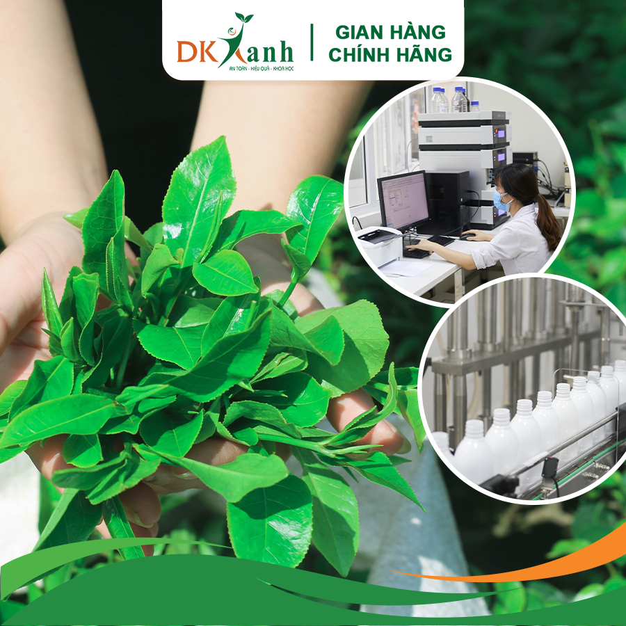 Nước tắm thảo dược Elemis dạng gói - DK Pharma